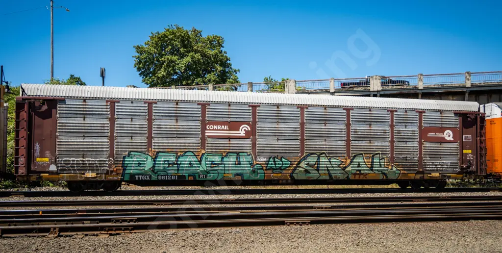 TTGX981281 - NORTH-AMERICA