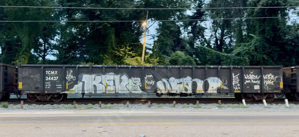 TCMX34437 - NORTH-AMERICA