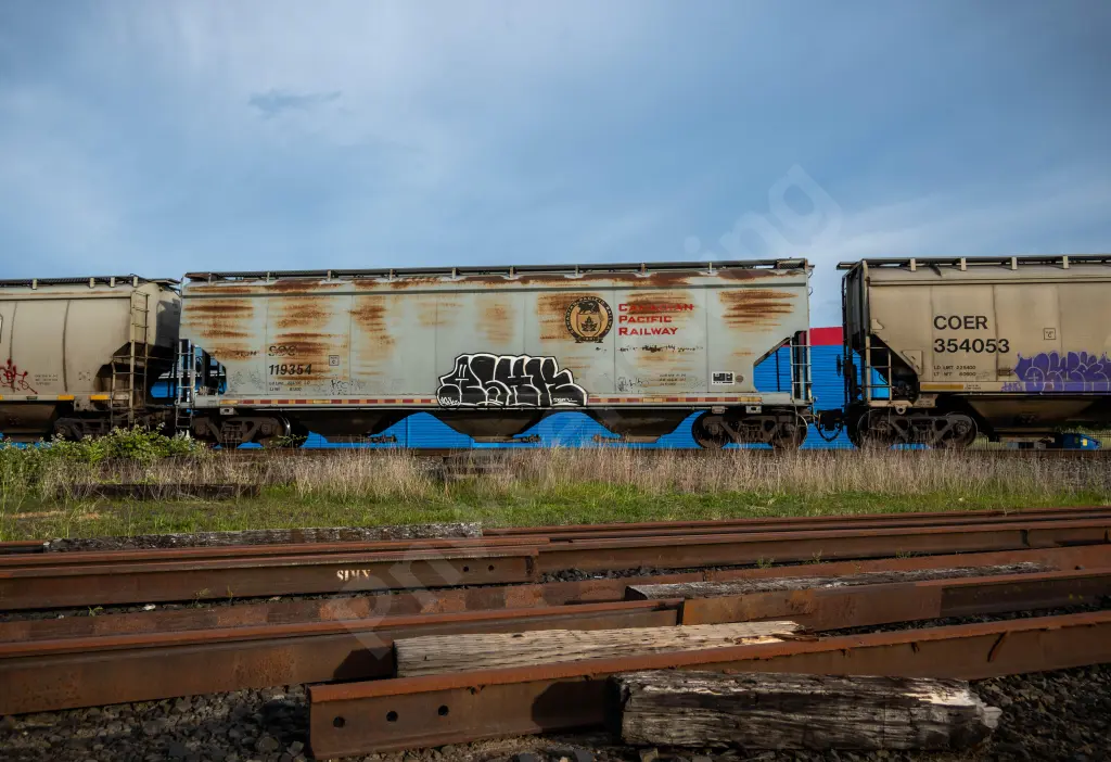 SOO119354 - NORTH-AMERICA