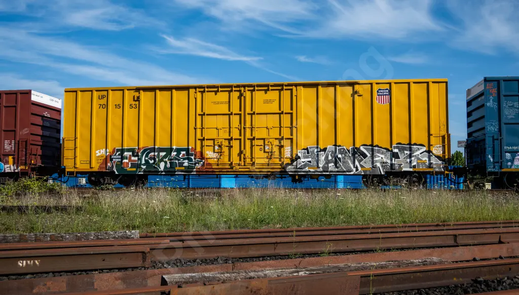 UP701553 - NORTH-AMERICA