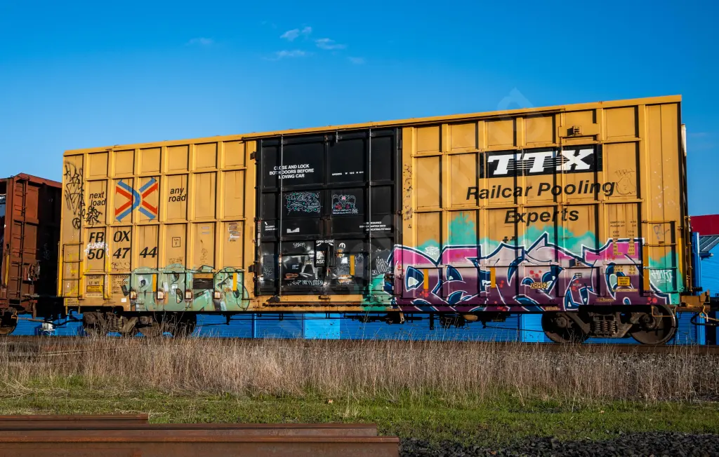FBOX504744 - NORTH-AMERICA
