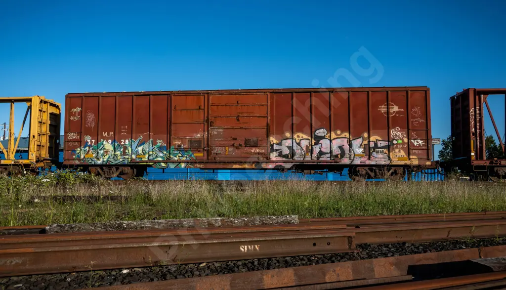 MP376928 - NORTH-AMERICA