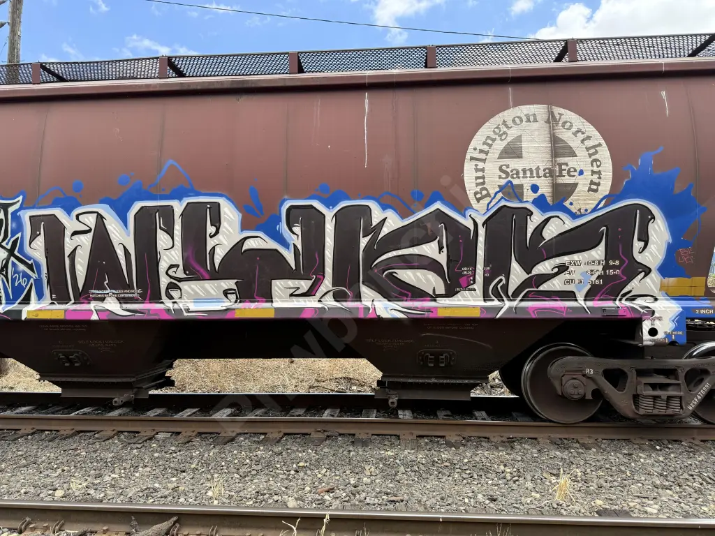 BNSF476991 - NORTH-AMERICA