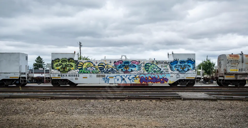 MBKX168893 - NORTH-AMERICA