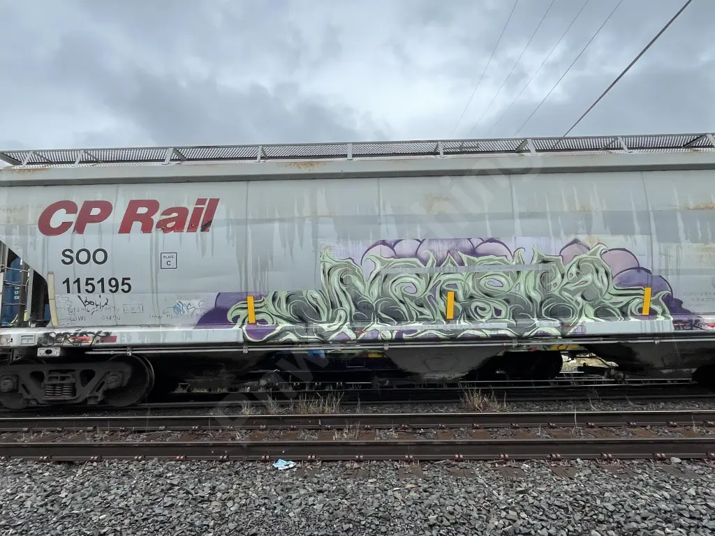 SOO115195 - NORTH-AMERICA