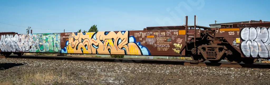AOK55494 - NORTH-AMERICA