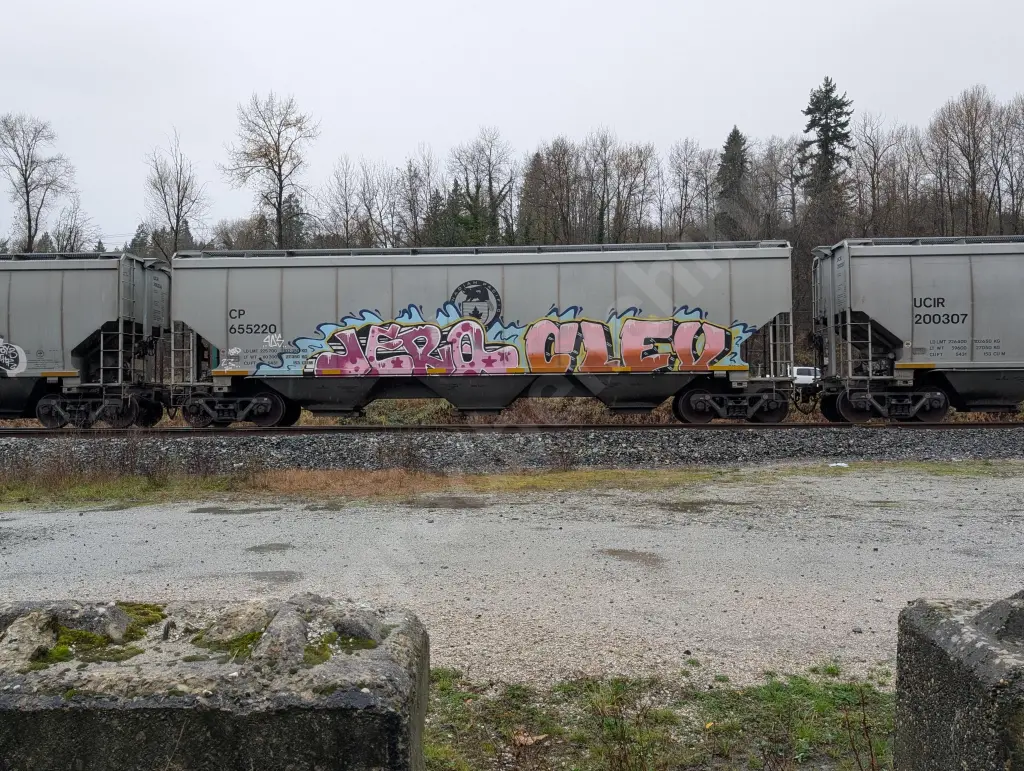 CP655220 - NORTH-AMERICA