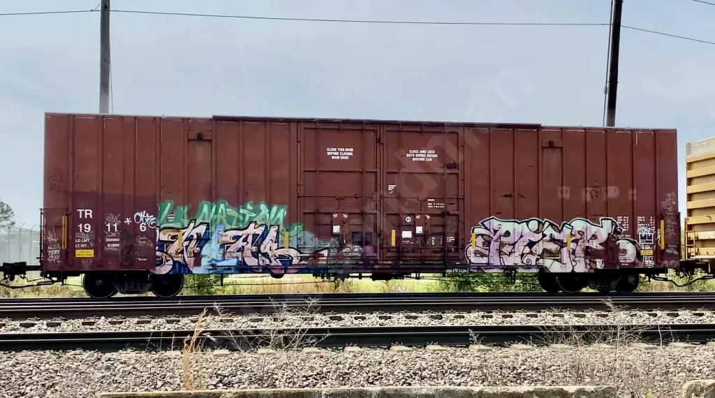 TR19116 - NORTH-AMERICA