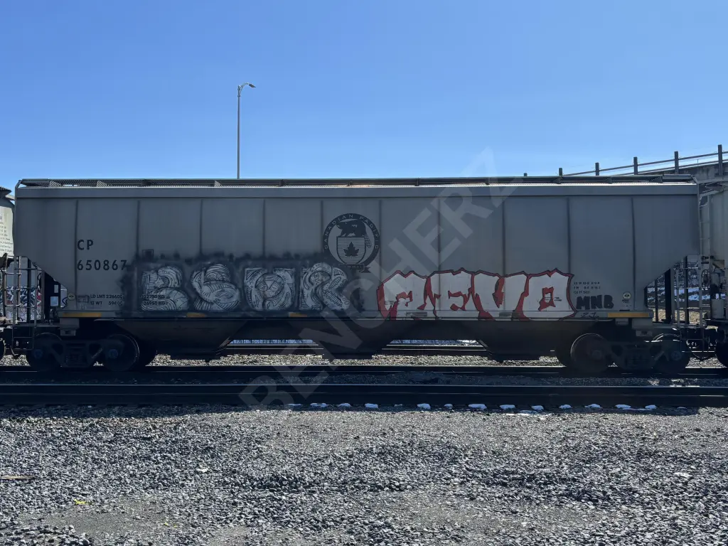 CP650867 - NORTH-AMERICA