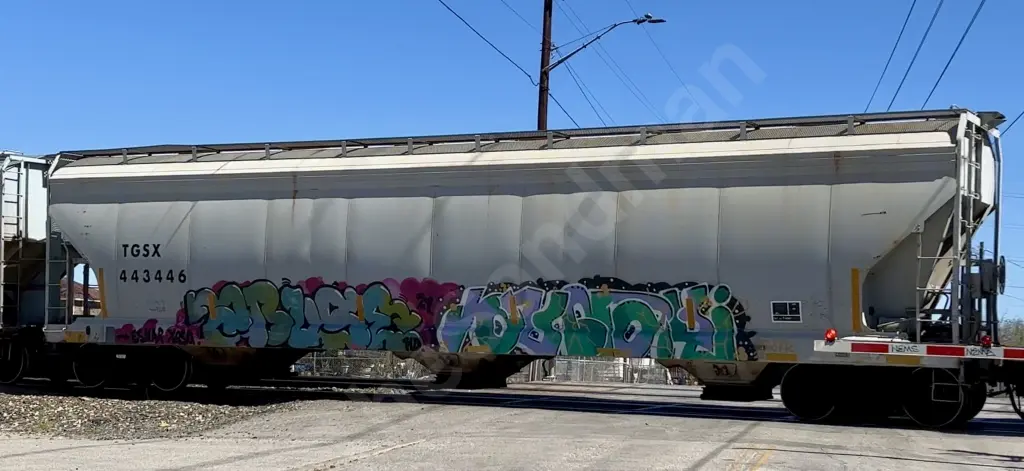 TGSX443446 - NORTH-AMERICA