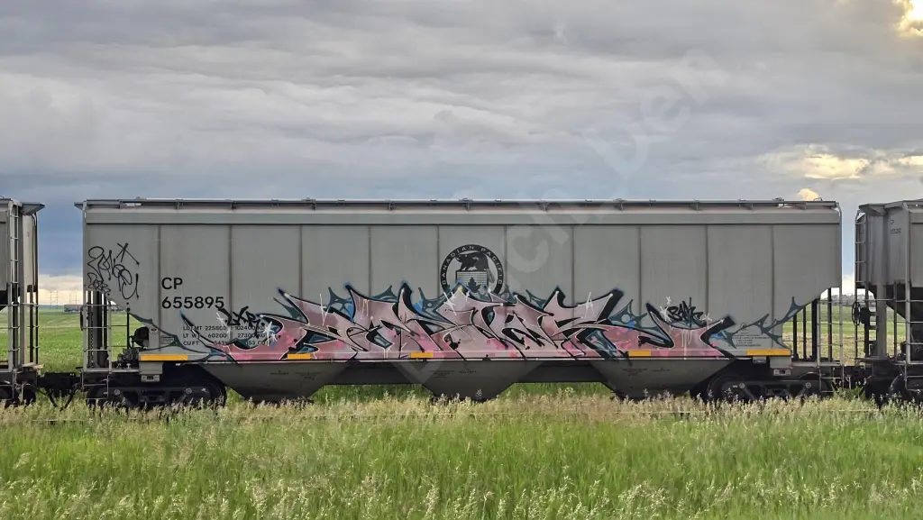 CP655895 - NORTH-AMERICA