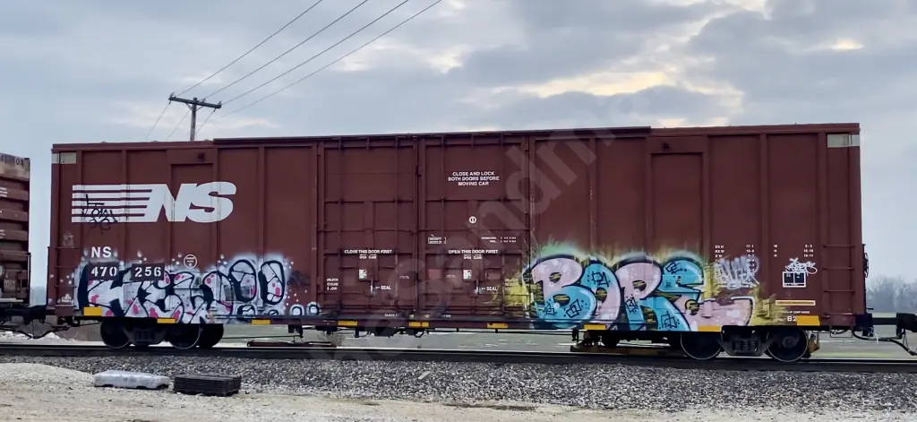 NS470256 - NORTH-AMERICA