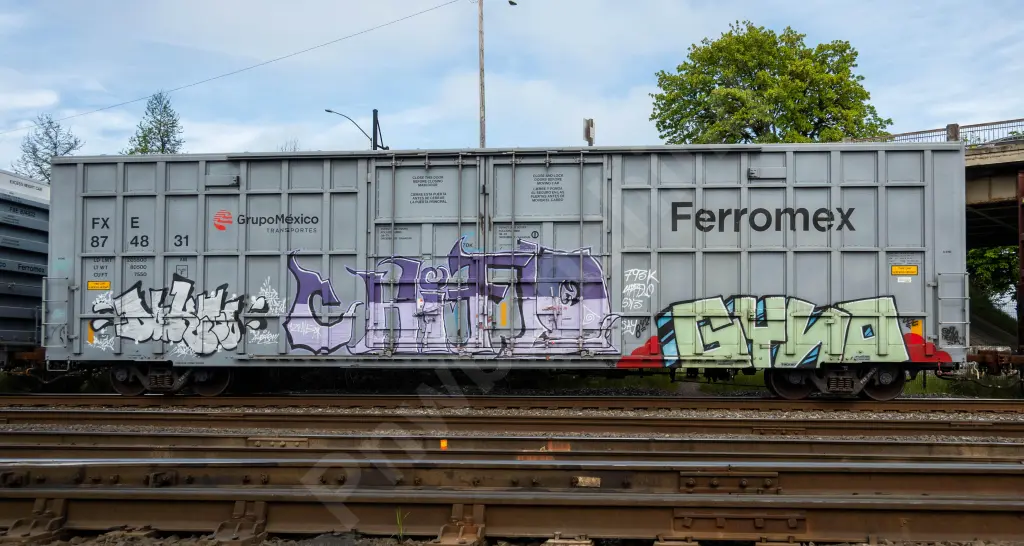 FXE874831 - NORTH-AMERICA