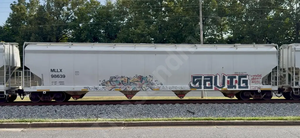 MLLX98639 - NORTH-AMERICA
