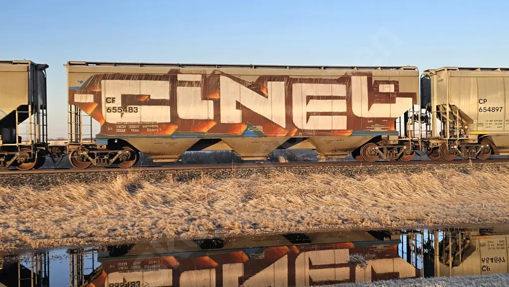 CP655483 - NORTH-AMERICA