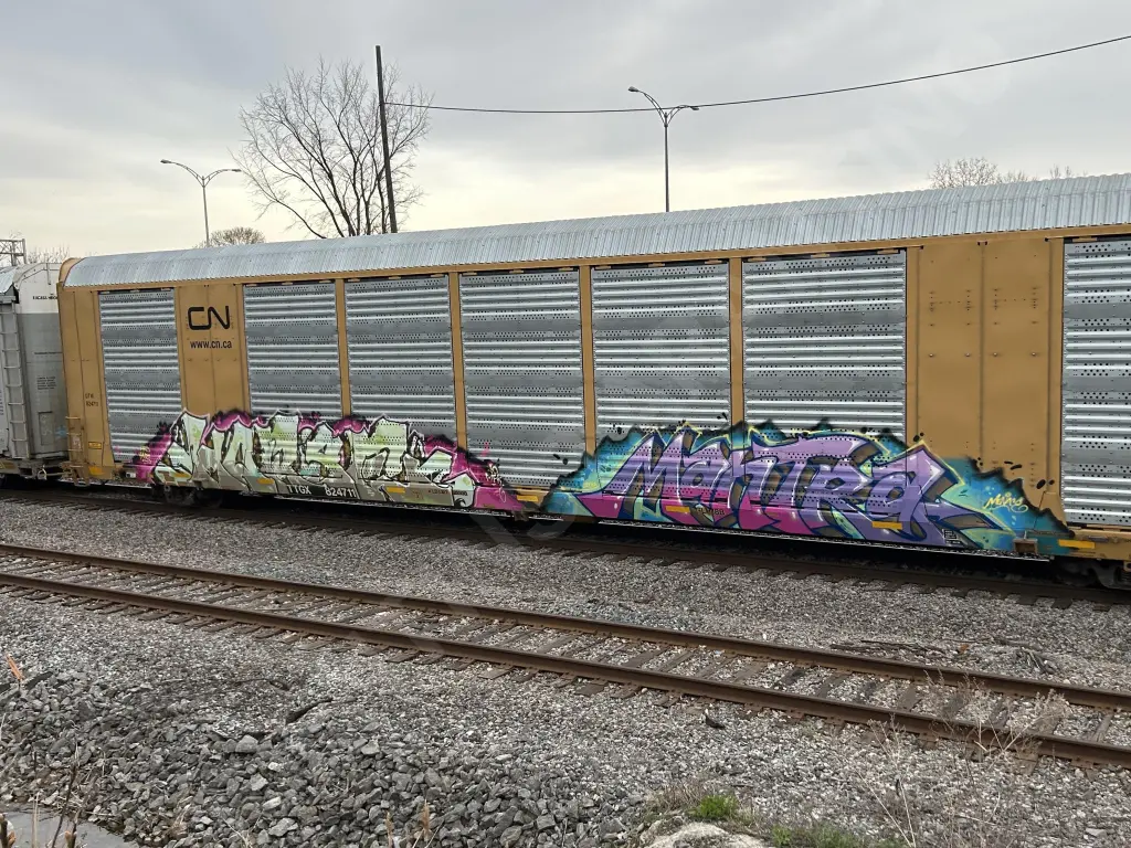 TTGX824711 - NORTH-AMERICA
