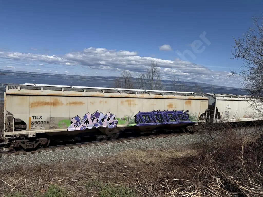 TILX650399 - NORTH-AMERICA
