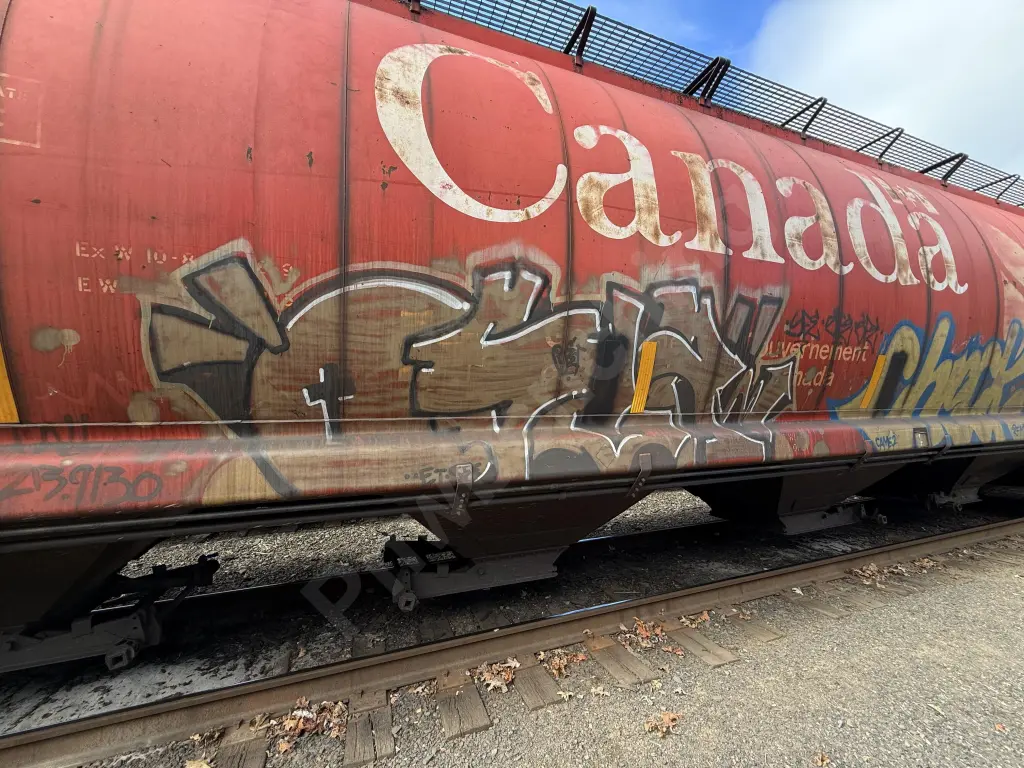 CN110194 - NORTH-AMERICA