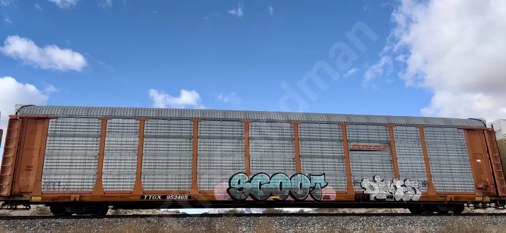 TTGX953465 - NORTH-AMERICA