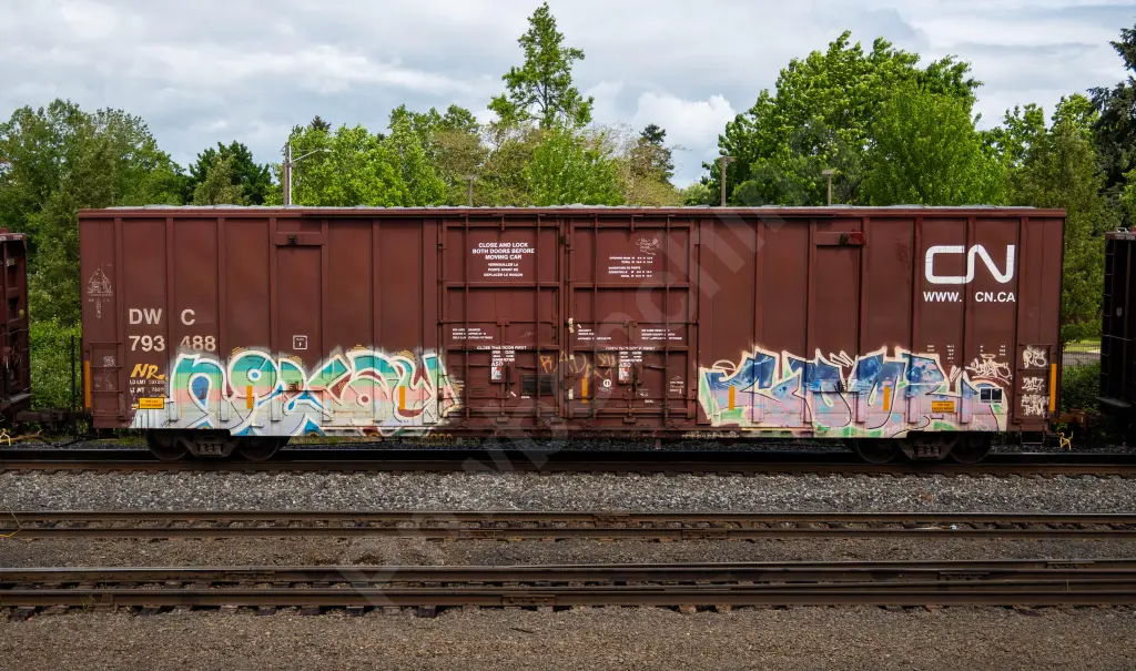 DWC793488 - NORTH-AMERICA