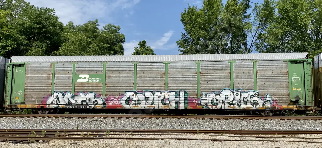 TTGX970768 - NORTH-AMERICA