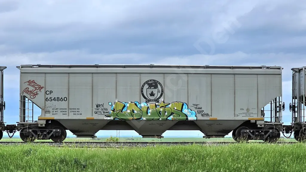 CP654860 - NORTH-AMERICA