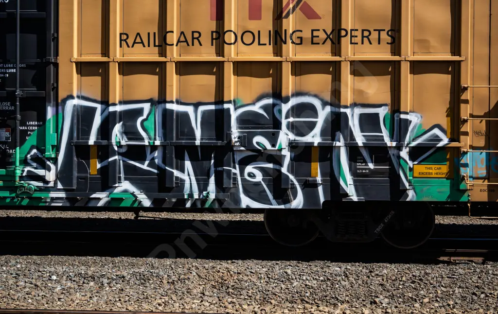 Train photo