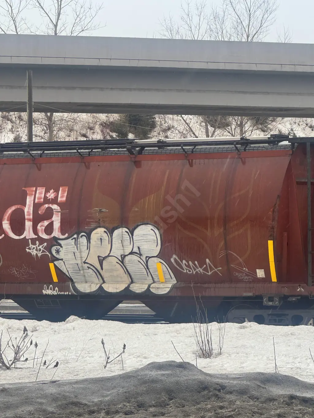 Train photo