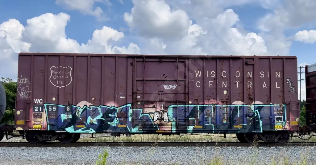 WC21556 - NORTH-AMERICA