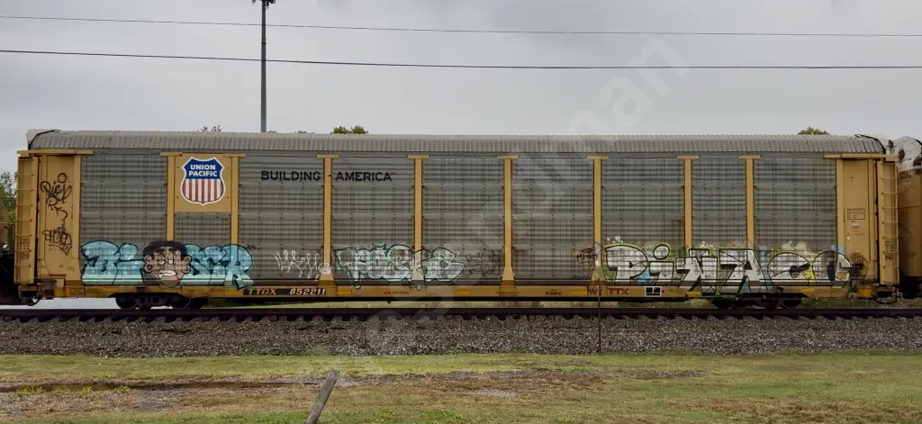 TTGX852211 - NORTH-AMERICA