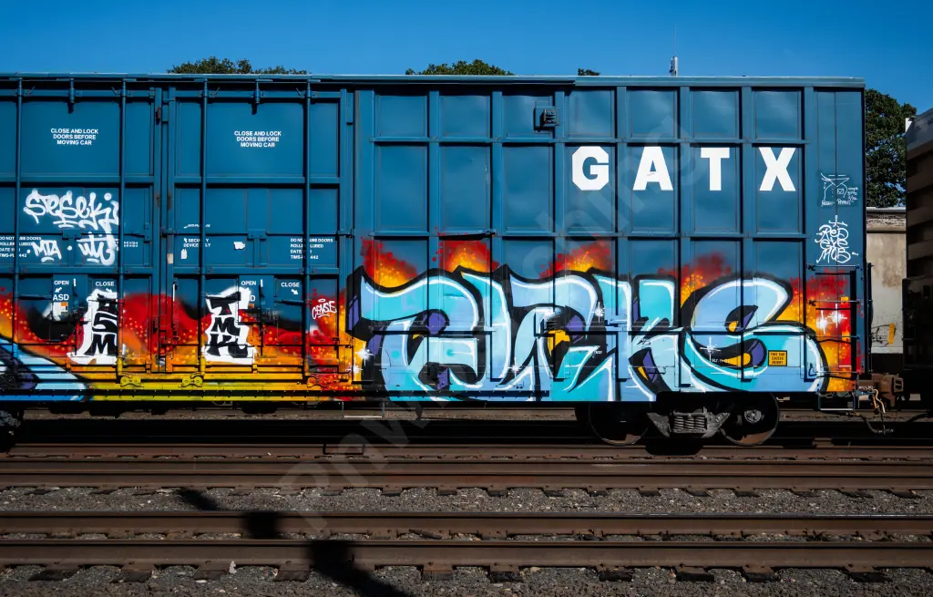 LRS137335 - NORTH-AMERICA