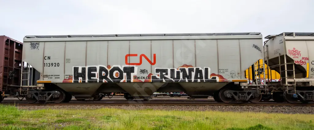 CN113920 - NORTH-AMERICA