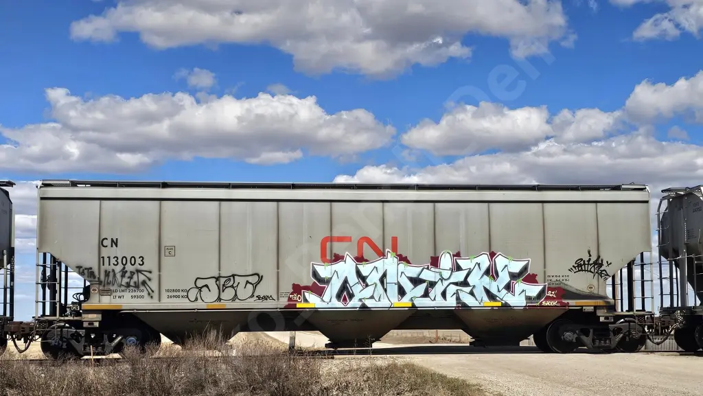 CN113003 - NORTH-AMERICA