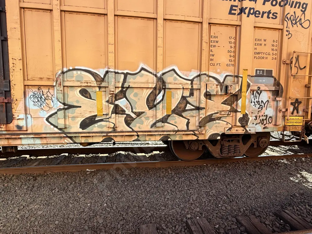 FBOX505437 - NORTH-AMERICA
