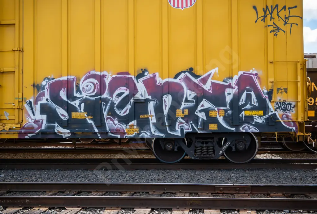 UP700572 - NORTH-AMERICA