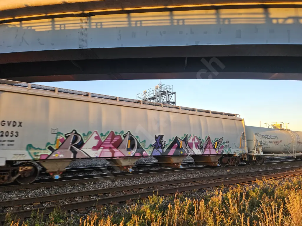 GVDX2053 - NORTH-AMERICA