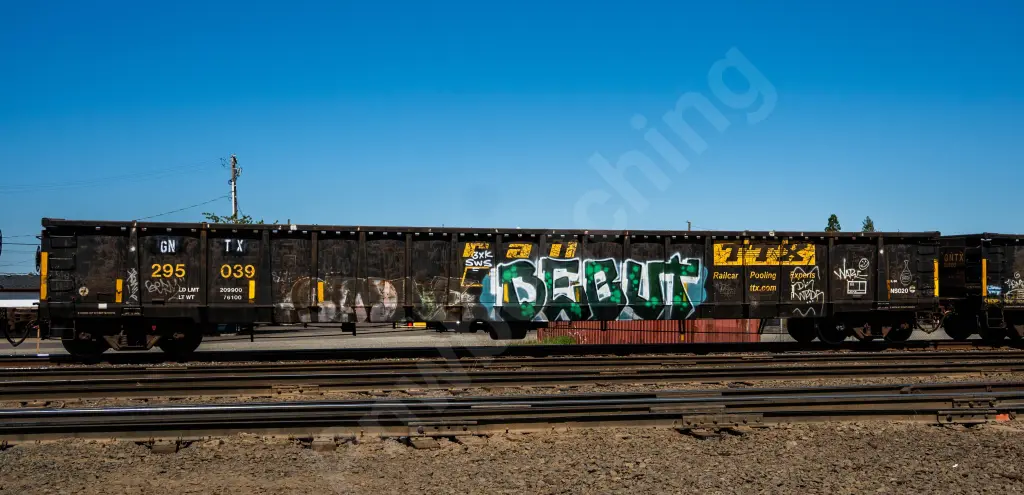 GNTX295039 - NORTH-AMERICA