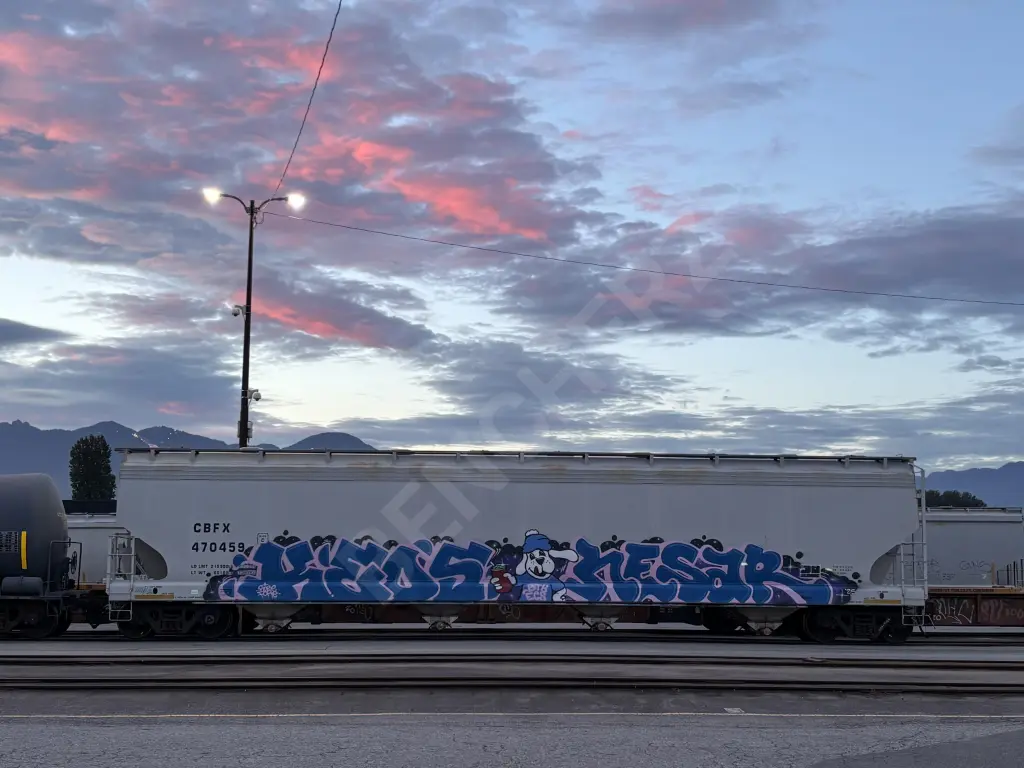 CBFX470459 - NORTH-AMERICA