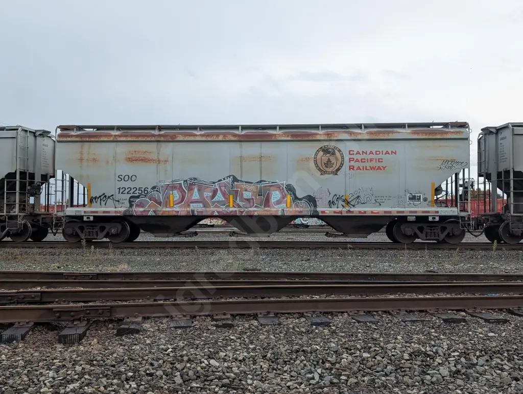 SOO122256 - NORTH-AMERICA