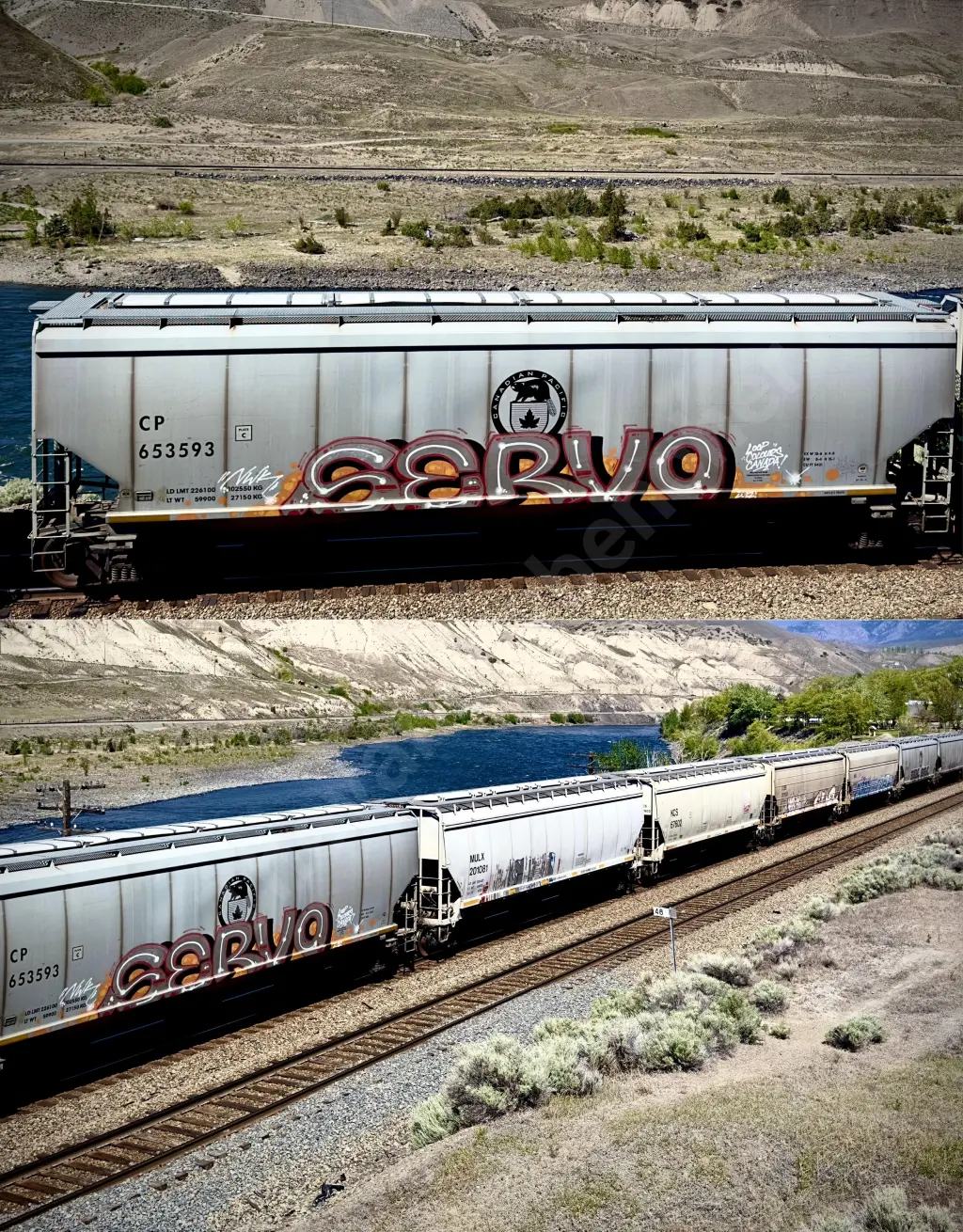 CP653593 - NORTH-AMERICA