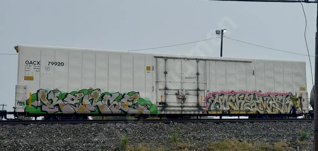 GACX79920 - NORTH-AMERICA