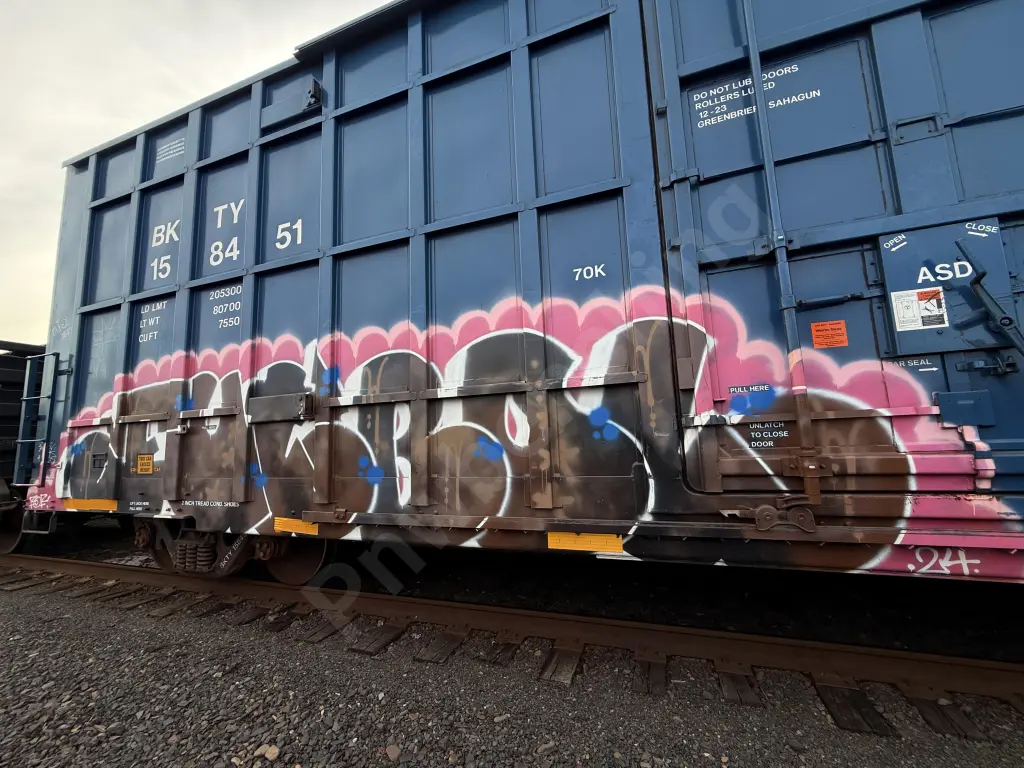 BKTY158451 - NORTH-AMERICA
