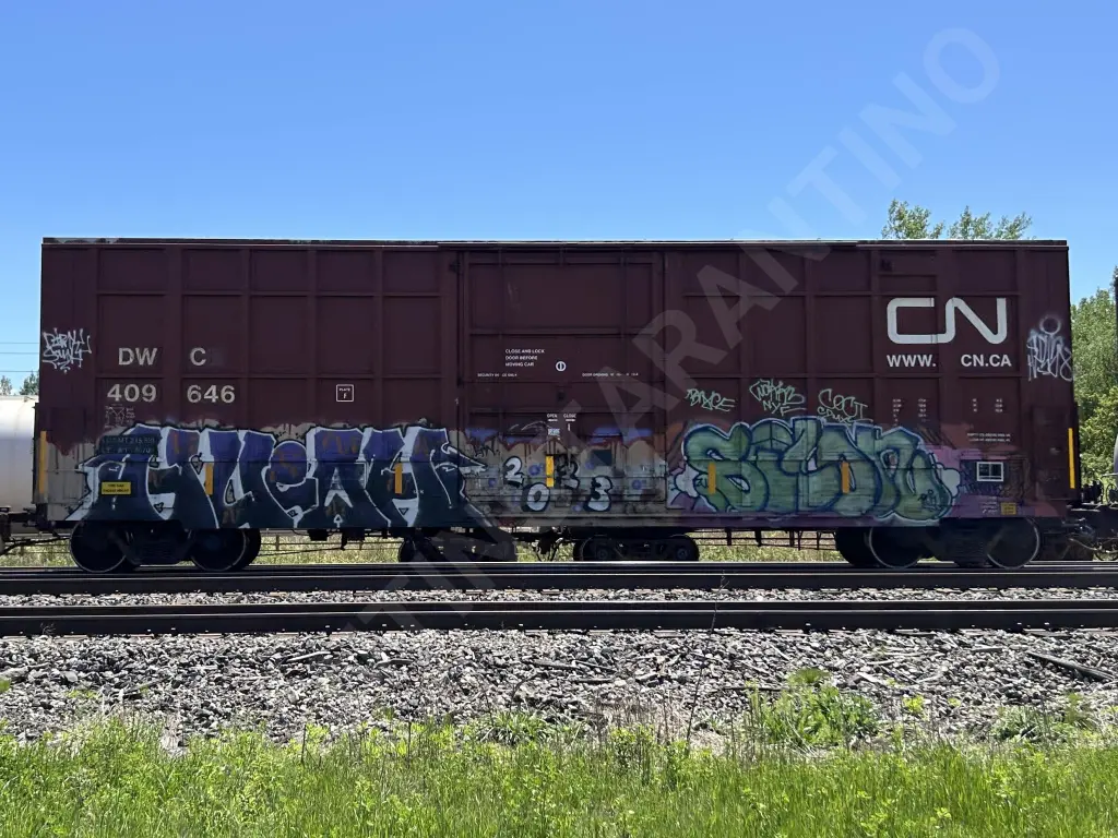 DWC409646 - NORTH-AMERICA