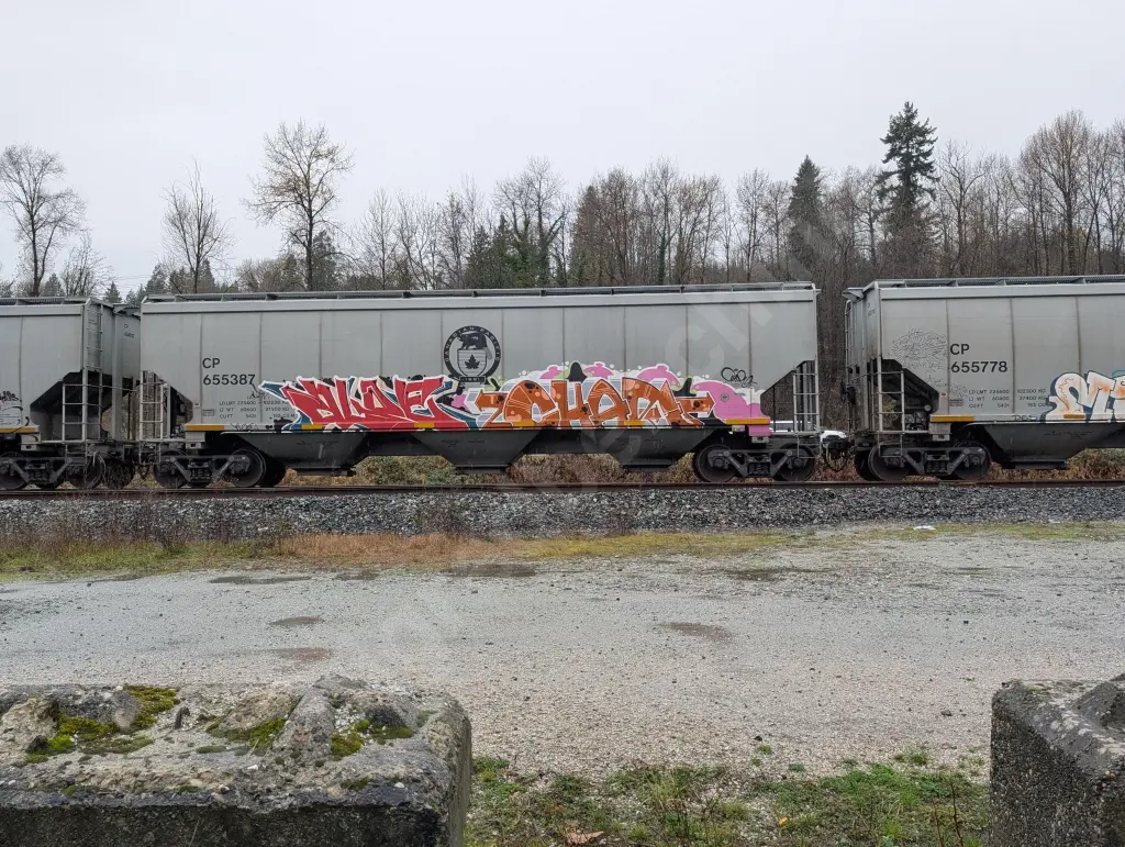CP655387 - NORTH-AMERICA