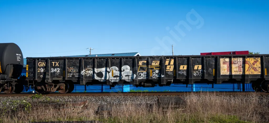 GNTX295342 - NORTH-AMERICA