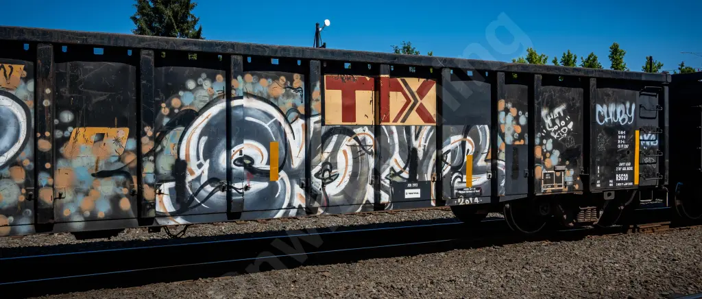 GNTX297084 - NORTH-AMERICA