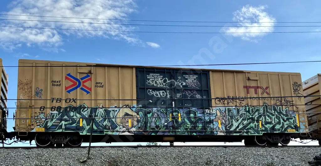 TBOX668087 - NORTH-AMERICA