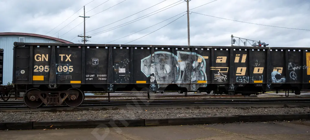 GNTX295695 - NORTH-AMERICA