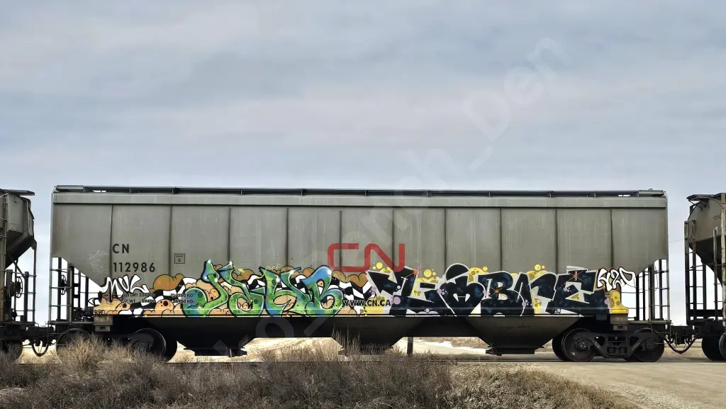 CN112986 - NORTH-AMERICA