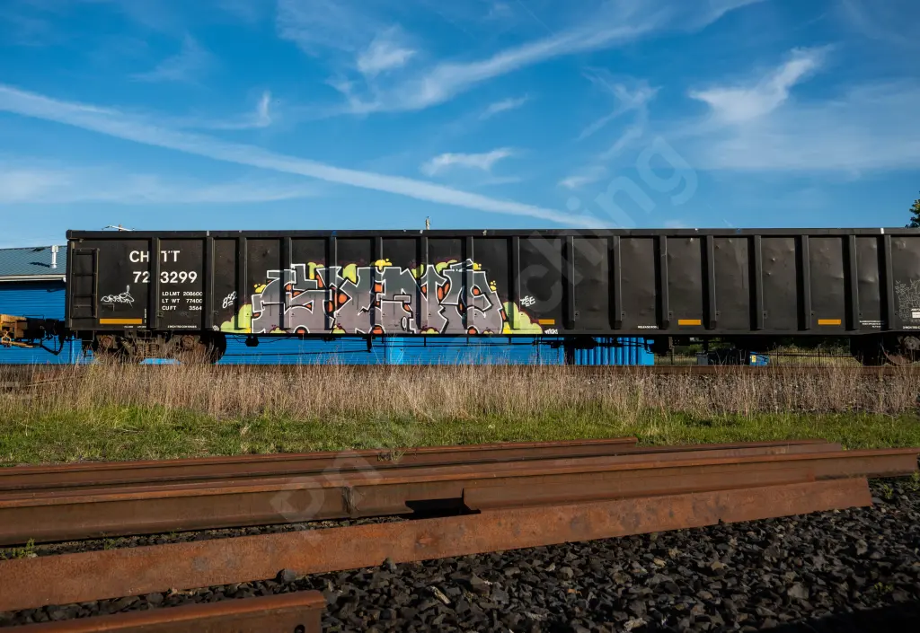 CHTT723299 - NORTH-AMERICA